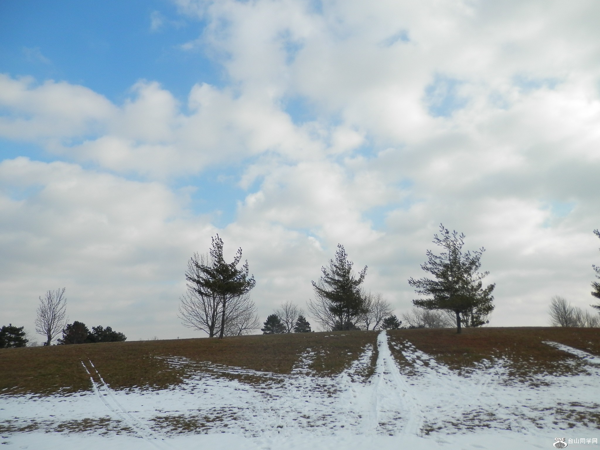 L 048.JPG