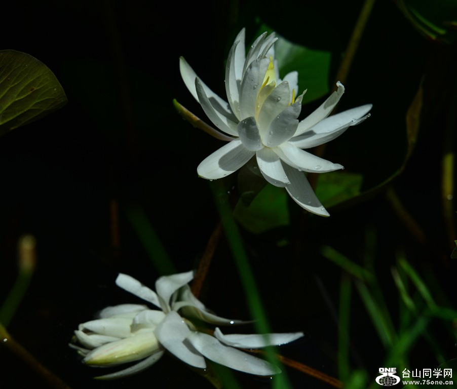 DSC_0140.jpg