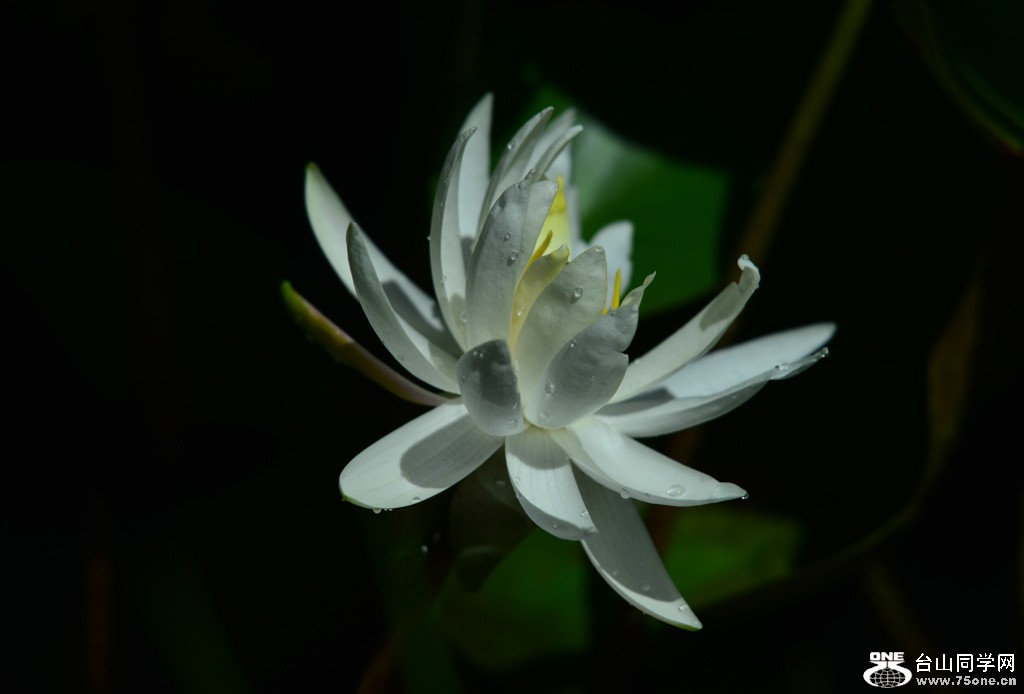 DSC_0141.jpg