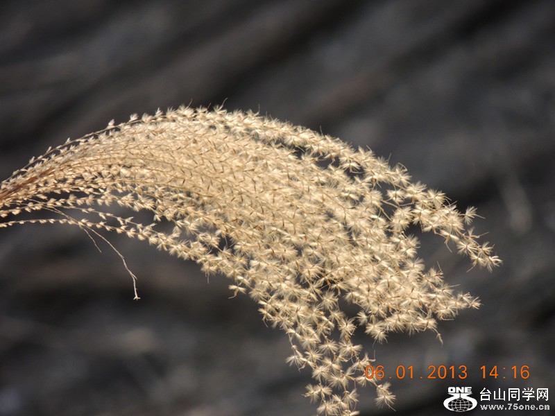 2013 vacation 1232_.jpg