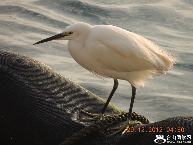 2013 vacation 078_.jpg
