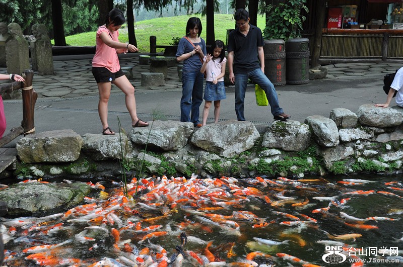 2009 hk n taiwan vacation 337_.jpg