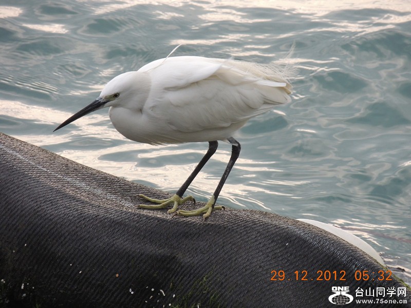 2013 vacation 150_副本.jpg