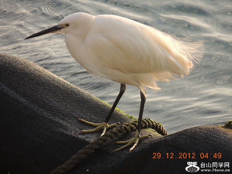 2013 vacation 075_.jpg