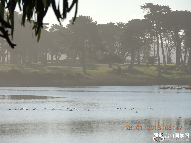 live pictures #3 510_.jpg