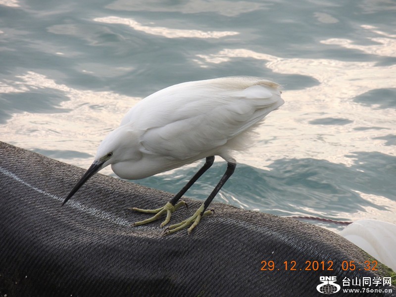 2013 vacation 148_副本.jpg