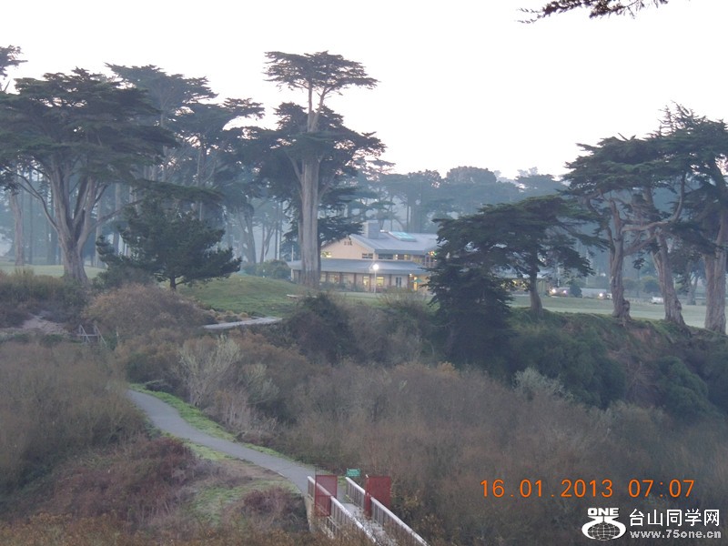 live pictures #3 344_.jpg