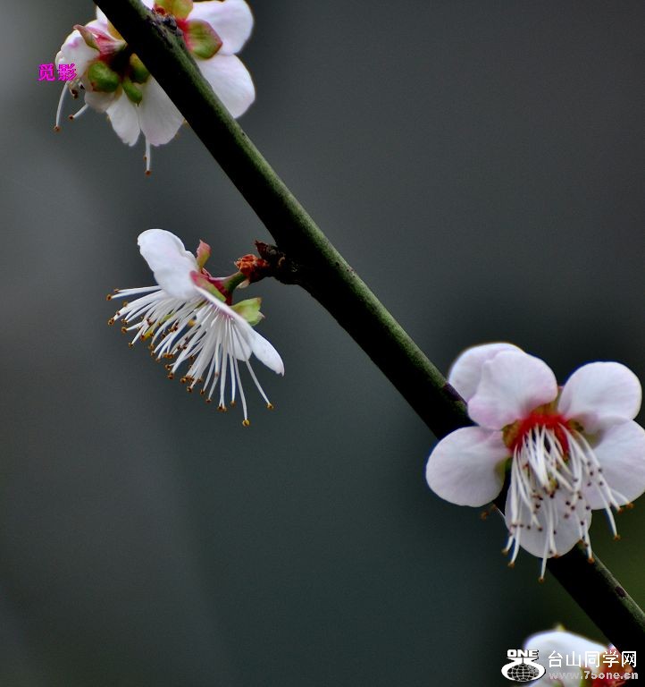 DSC_97873.JPG
