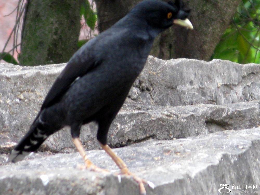 IMG_6144.JPG