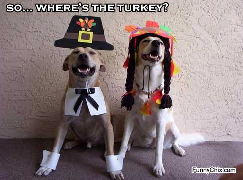 funny-pictures-dinner-dogs.jpg