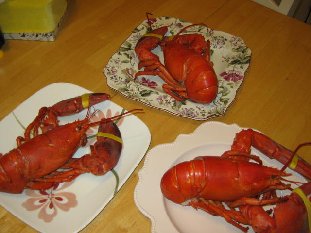 247_36627_bb11d3db2df9805.jpg
