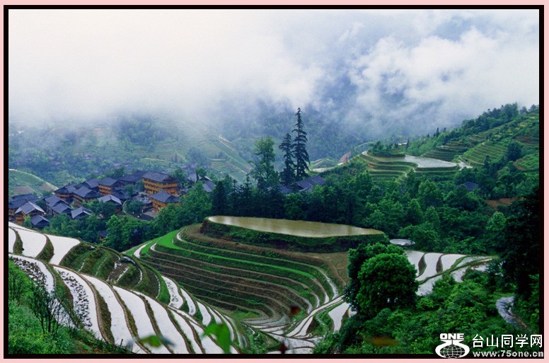 ������ʤ