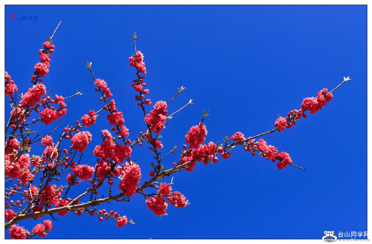 �}�u -26-280-1.jpg