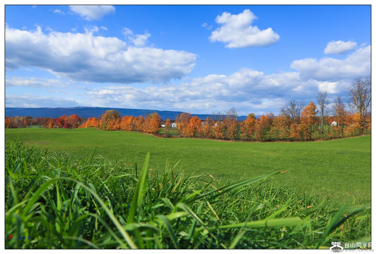 �}�u -14-1072-1.jpg