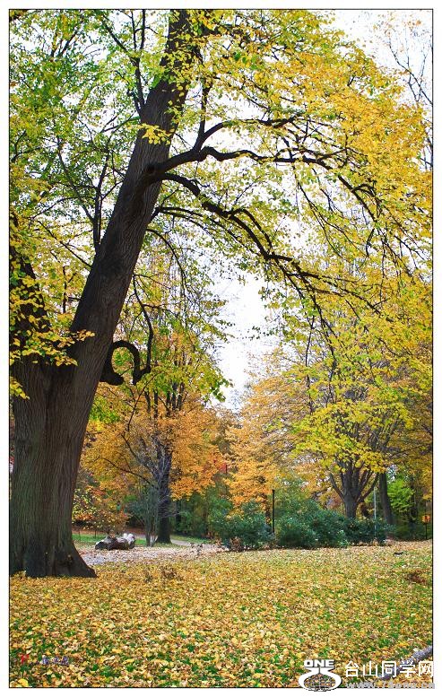 �}�u -21-009-1.jpg