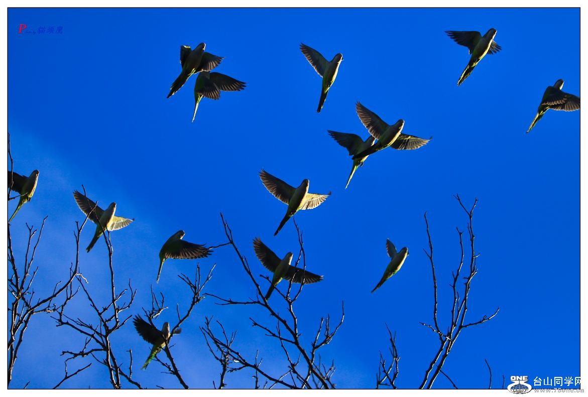 �}�u -12-185-2.jpg