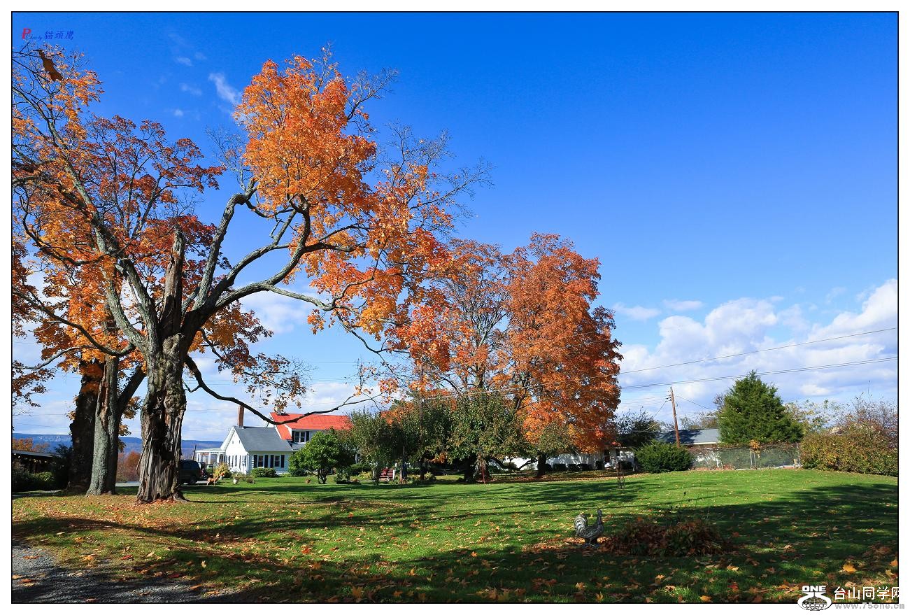 �}�u -15-1062.jpg