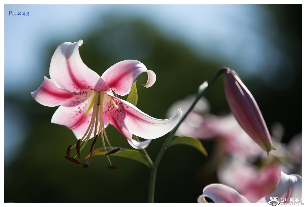 �}�u -30-147-1.jpg