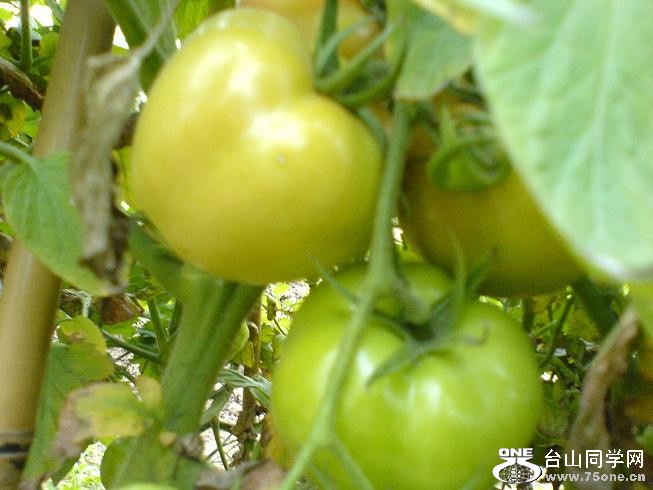 DSC06367.JPG