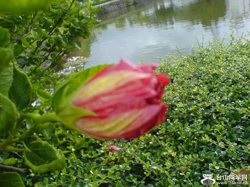 DSC06298.JPG