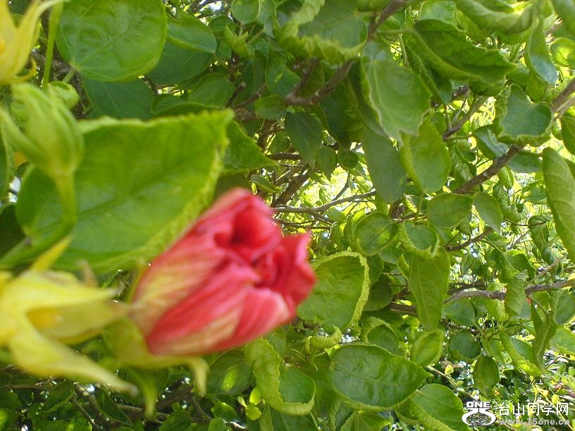 DSC06299.JPG