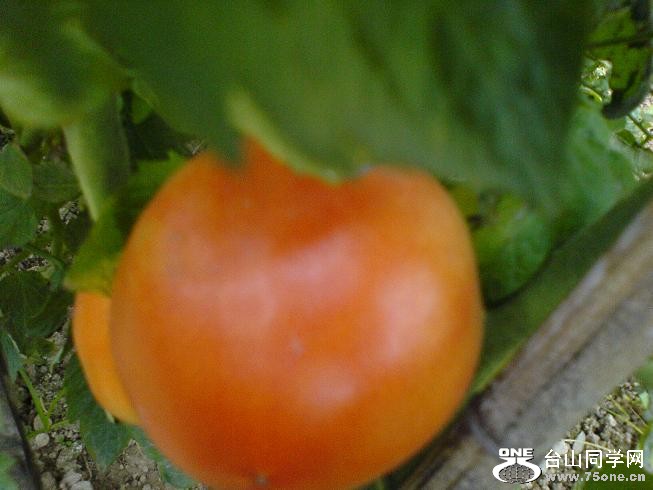 DSC06375.JPG