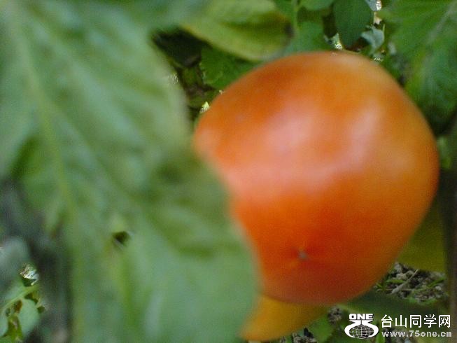 DSC06373.JPG