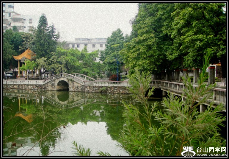 2_784_439d4e3e8955d32_conew94.jpg