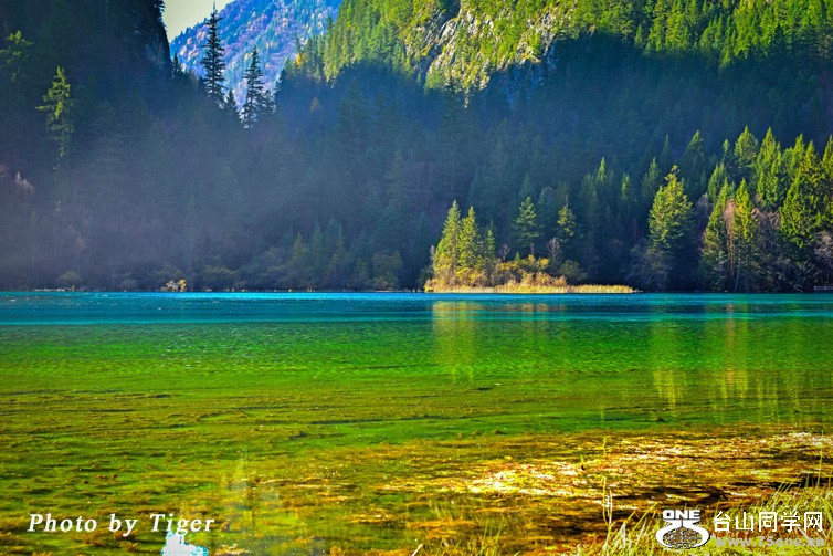 DSC_1925b ����.jpg