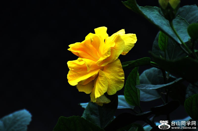 DSC_0006.jpg