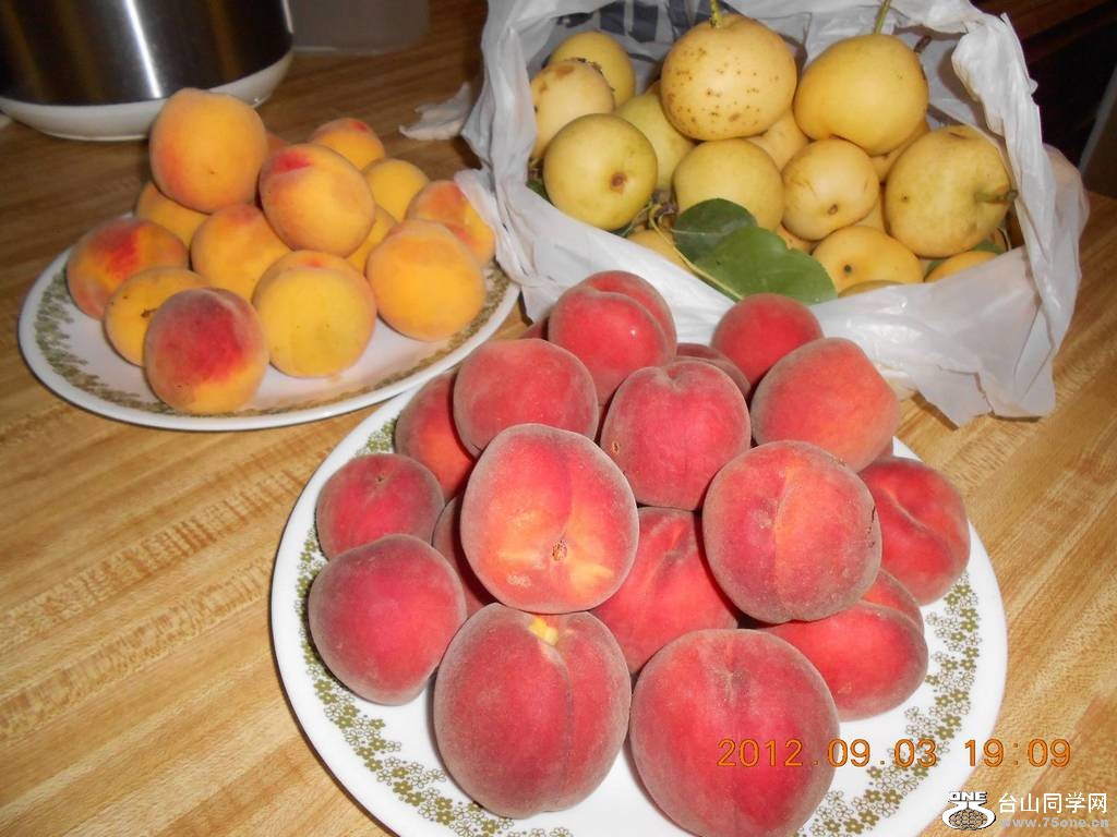 ũ�����ջ� 009.JPG