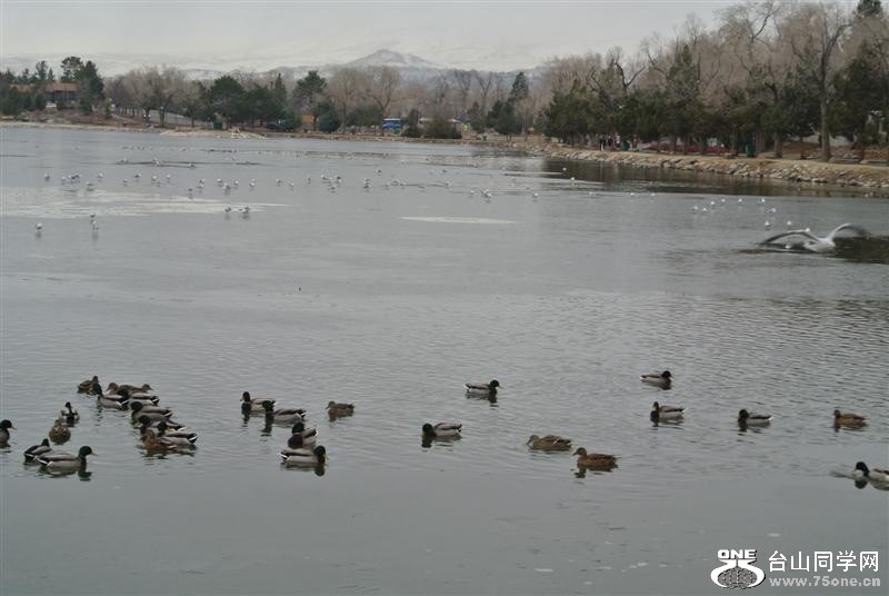 DSC_1189 (Medium).JPG