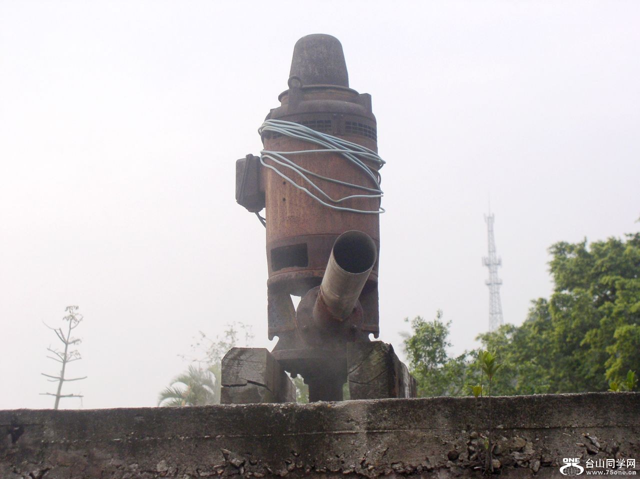 P1010085.JPG
