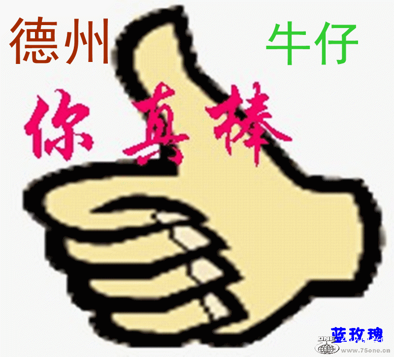 真棒_副本.gif