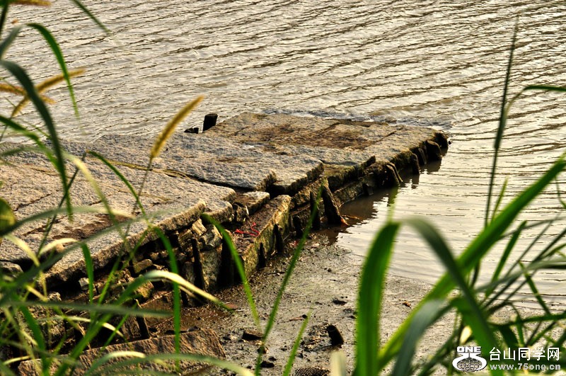 DSC_0130.jpg