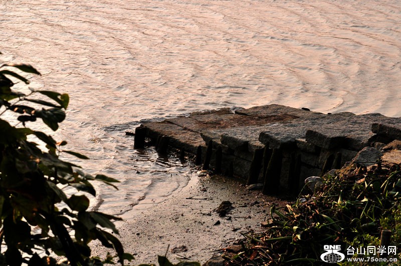 DSC_0122.jpg