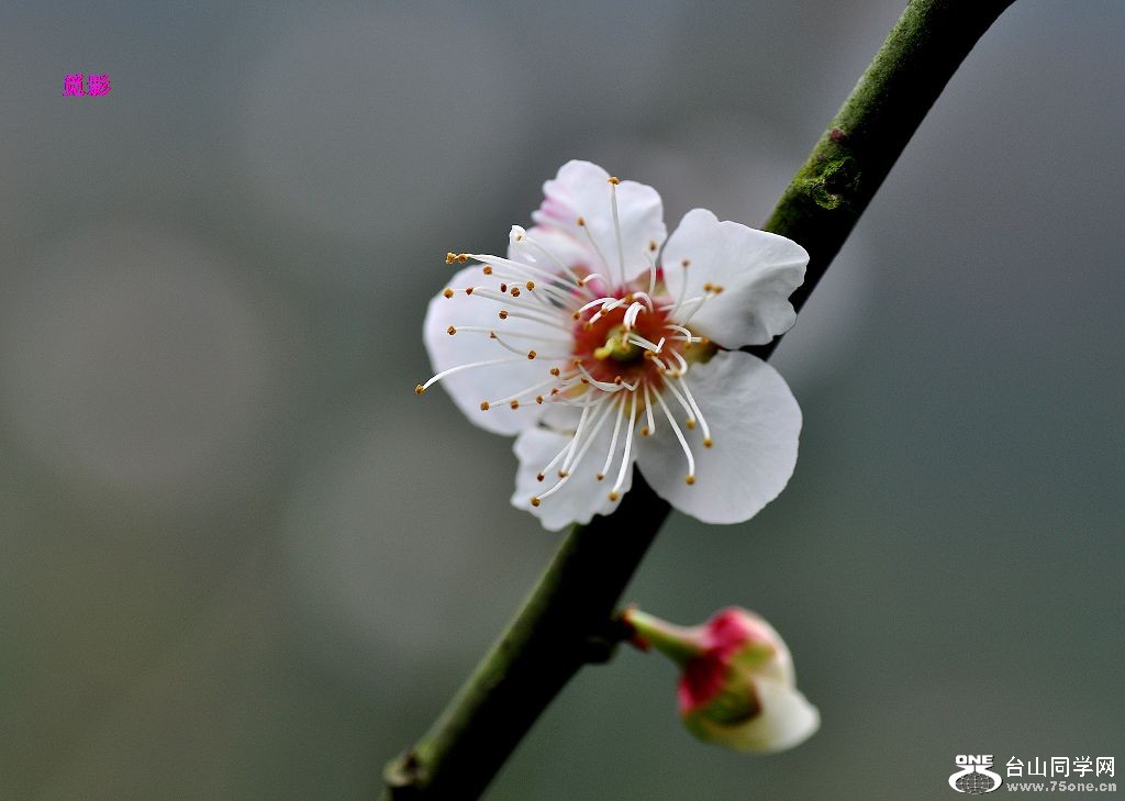 DSC_98080.JPG
