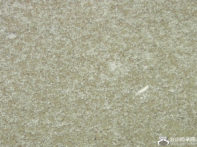 H3000013.JPG