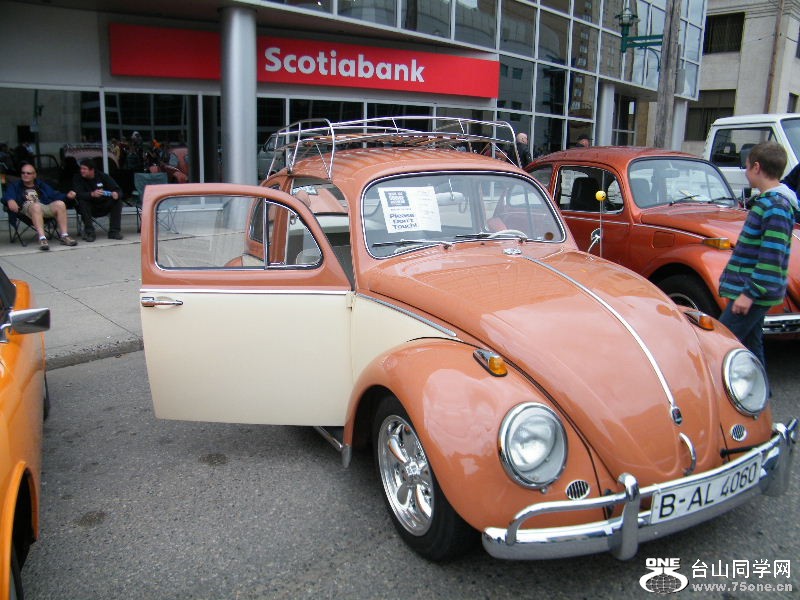 DSCF8600.JPG