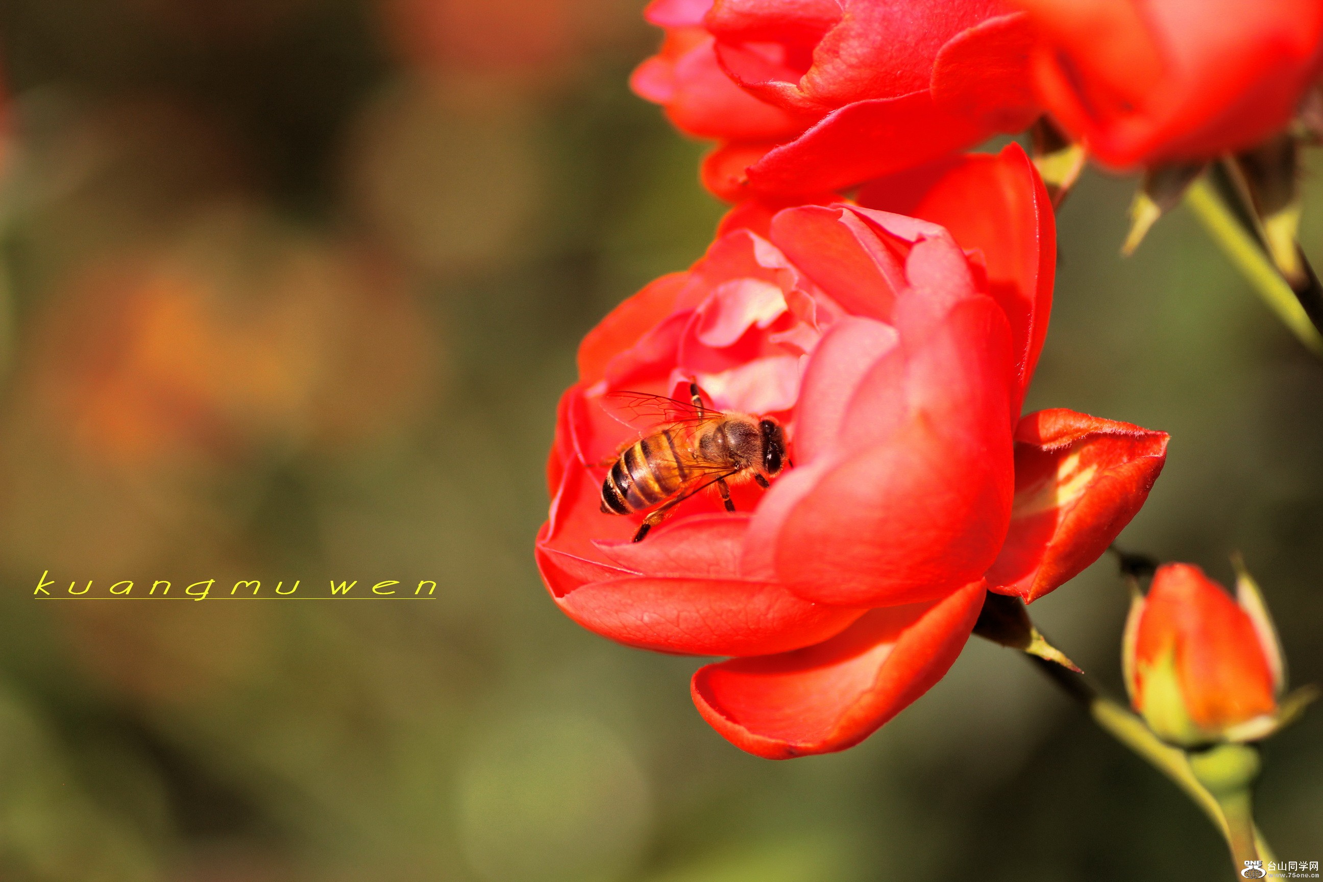 IMG_7767_С.JPG