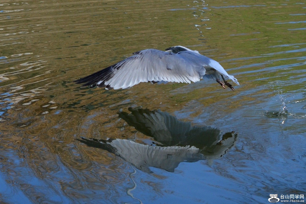 DSC_5380_36.jpg