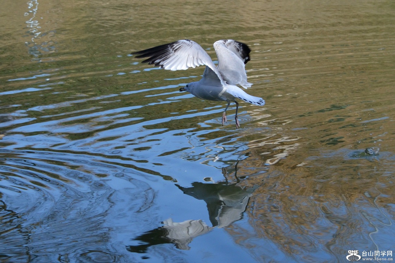 DSC_5381_6.jpg