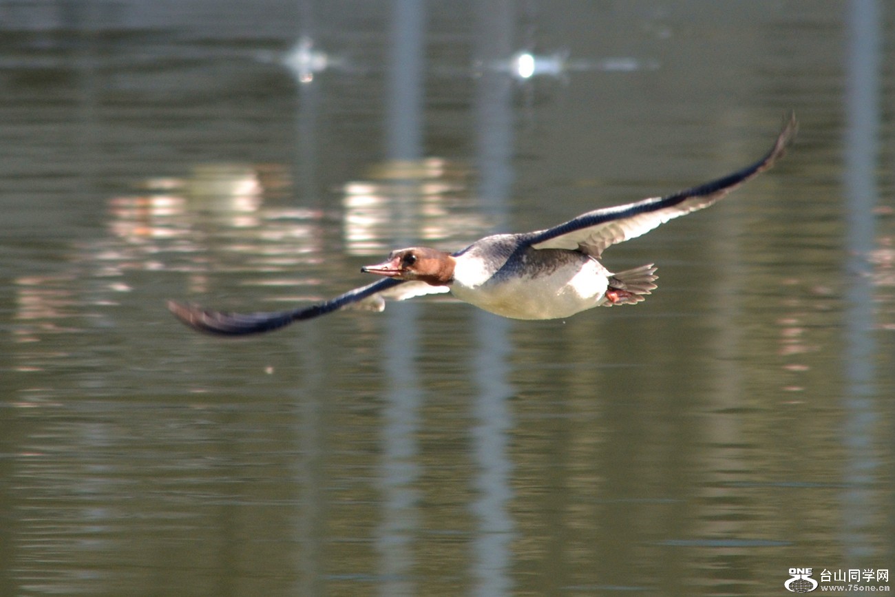 DSC_5012_16.jpg