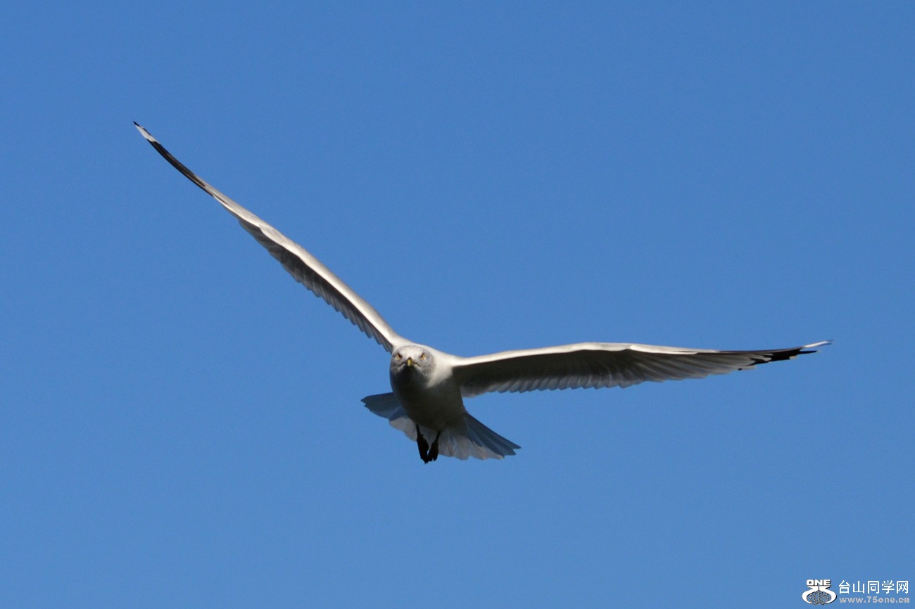 DSC_5305_14.jpg
