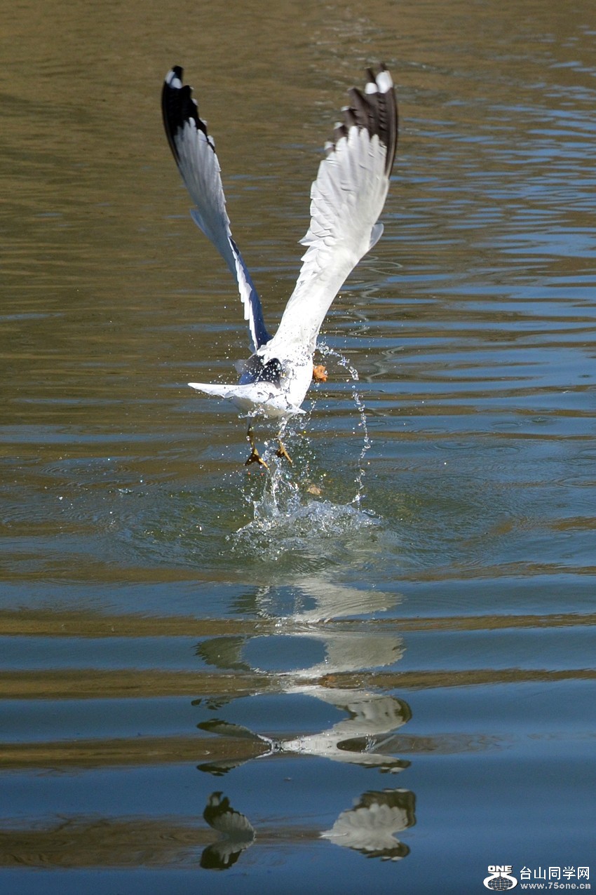 DSC_5412_3.jpg