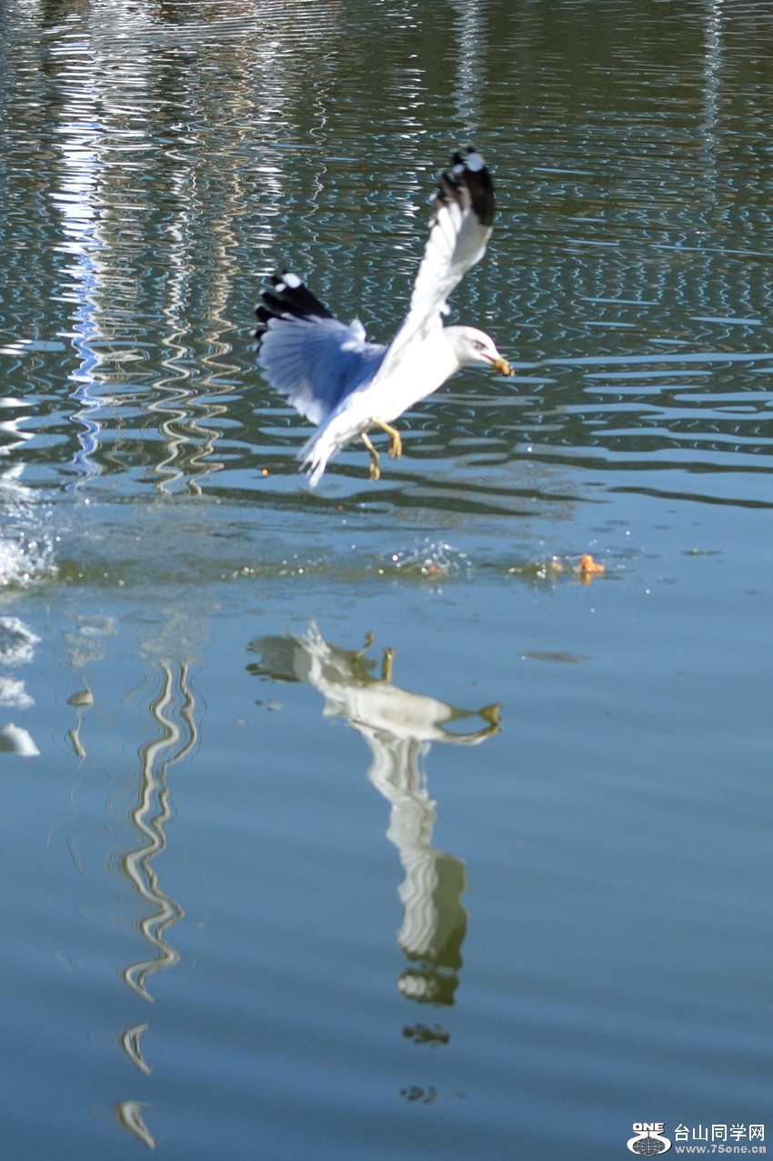 DSC_5386_35.jpg