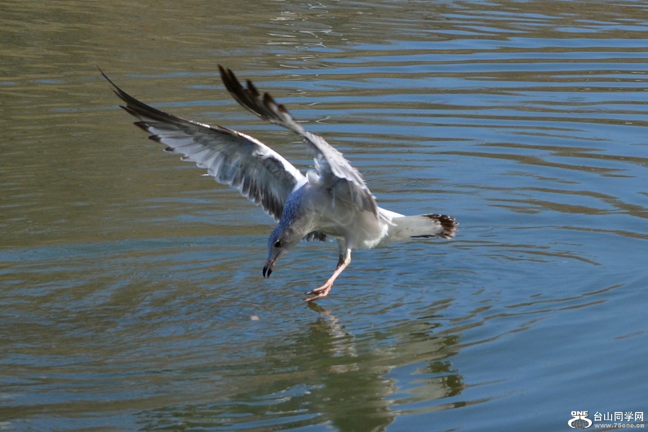 DSC_5373_34.jpg