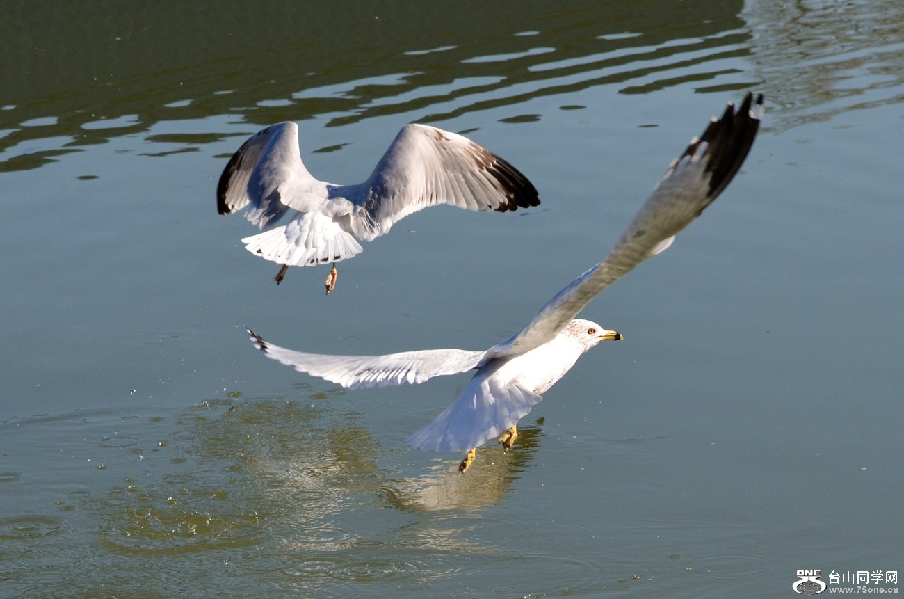 DSC_4955_08.jpg