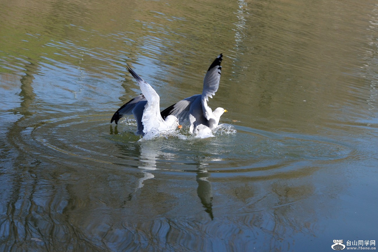 DSC_5352_33.jpg