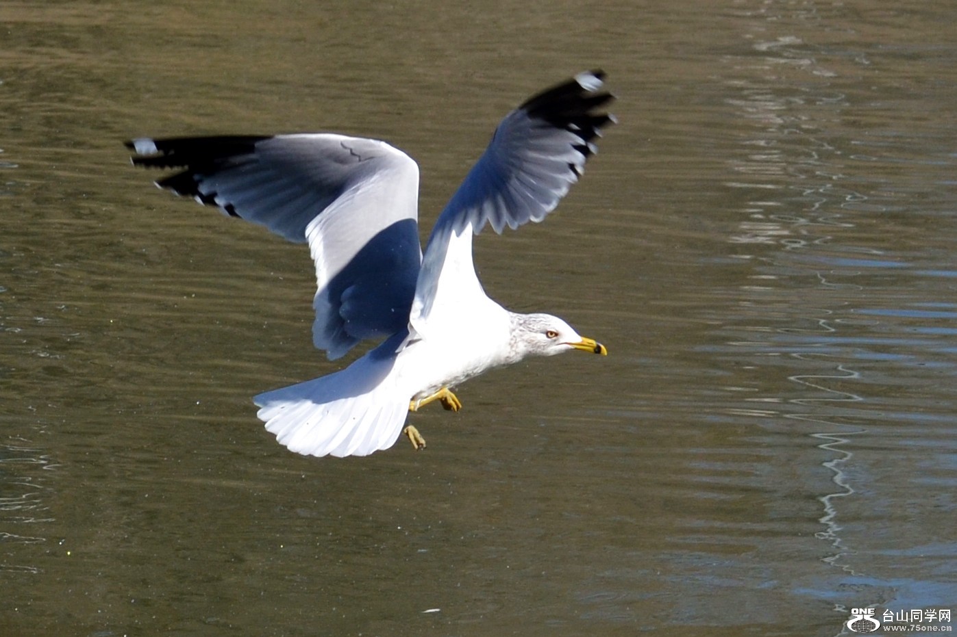 DSC_5354_13.jpg